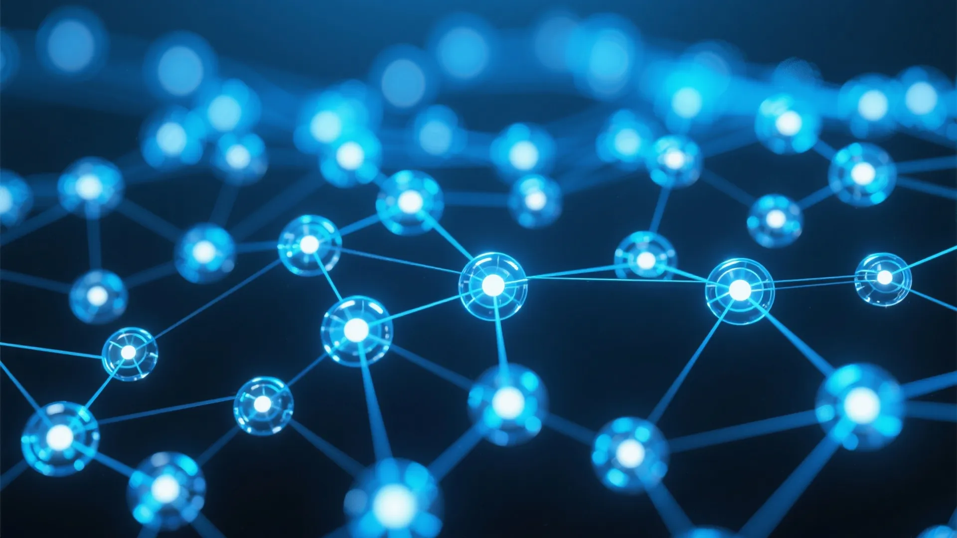 开云体育 全球网络架构